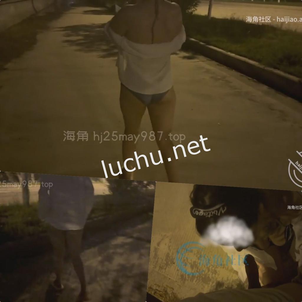 海角社区 和老妈半夜马路上野战[1V/192M]
