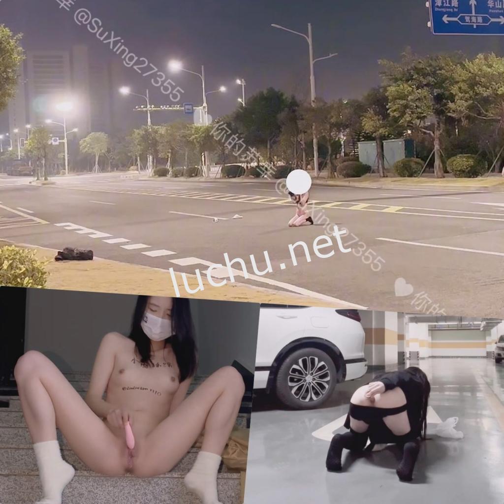 反差福利姬 小雨绵绵&苏幸 马路上全裸露出 户外调教[15V/6.01G]