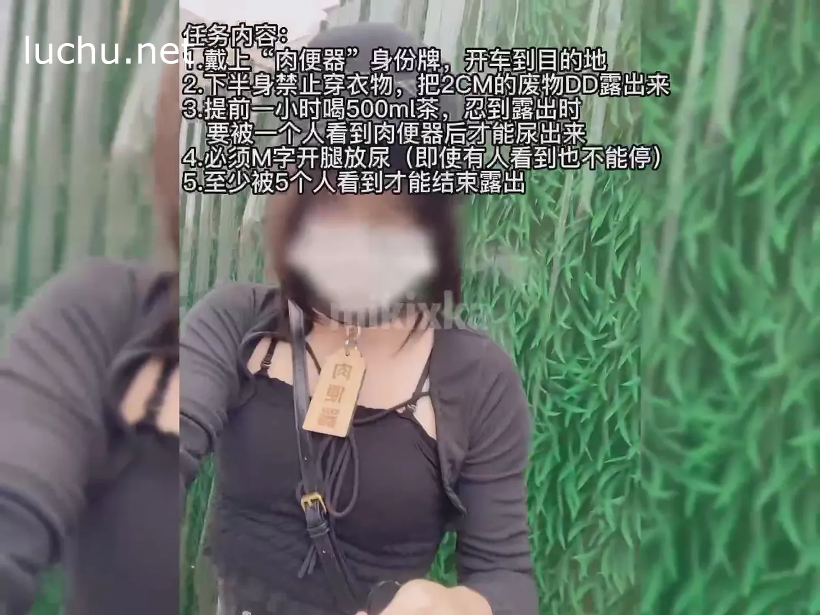 伪娘mikixka 露出任务1 肉便器露出放尿 1V（292M）
