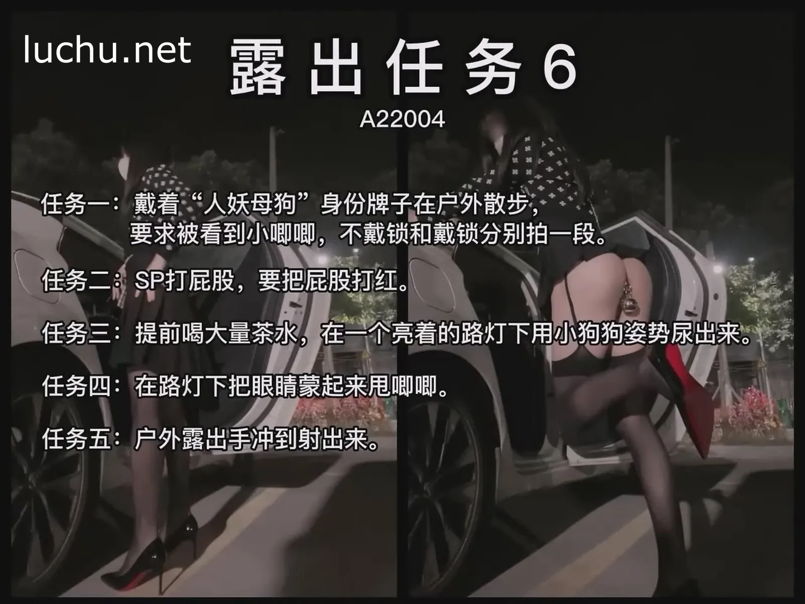 伪娘mikixka 露出任务6 露出散步马路边灯下羞耻放尿 1V（0.97G）