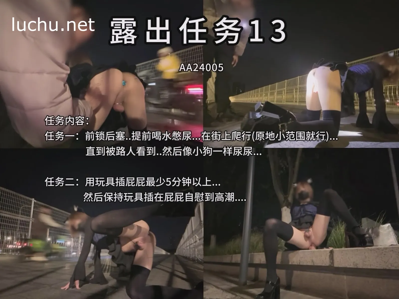 伪娘mikixka 露出任务13 天桥露出狗爬放尿自慰 和路人互动 1V（773M）