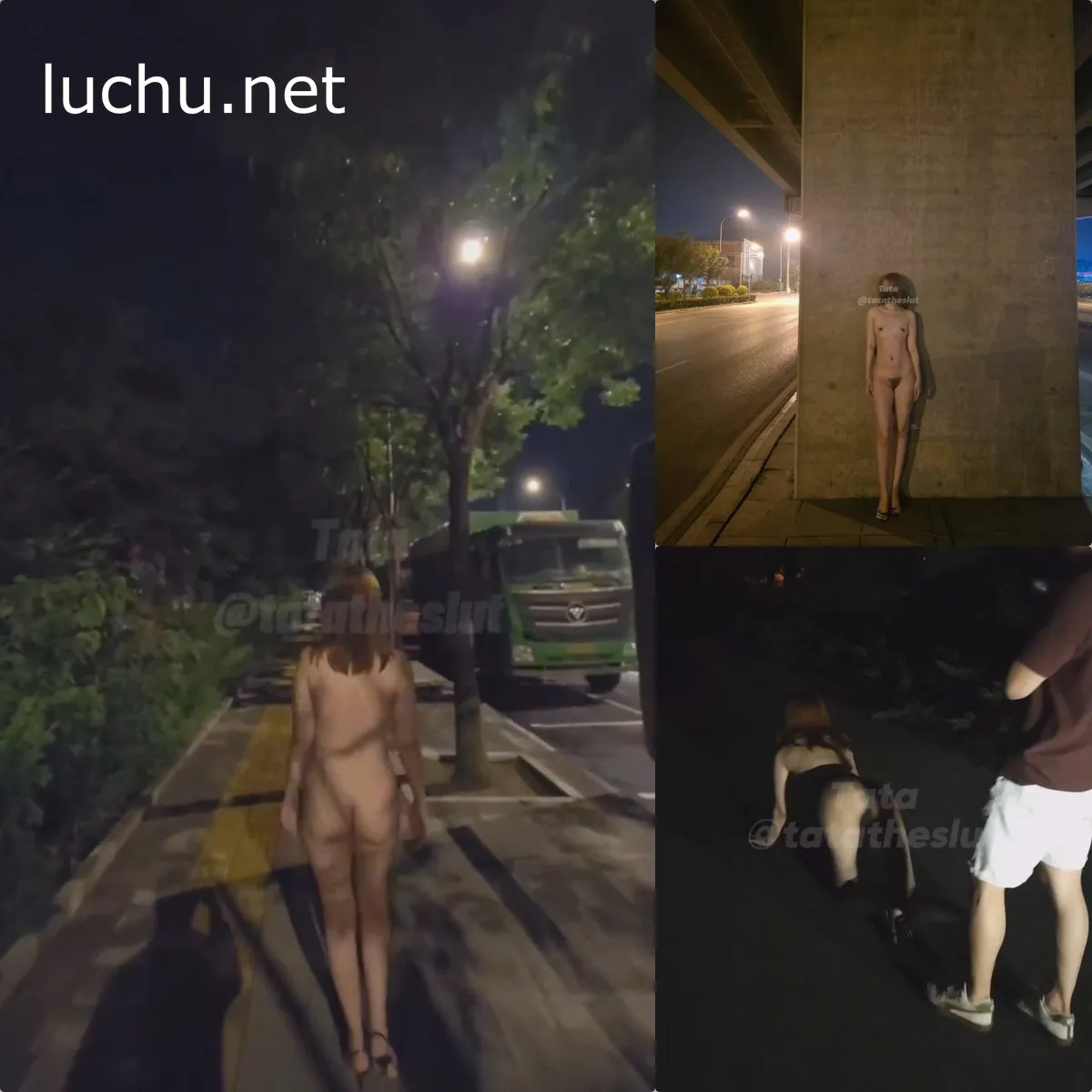 长腿博主Tatatheslut 户外露出调教狗爬 推特存档 33P+4V (21MB)