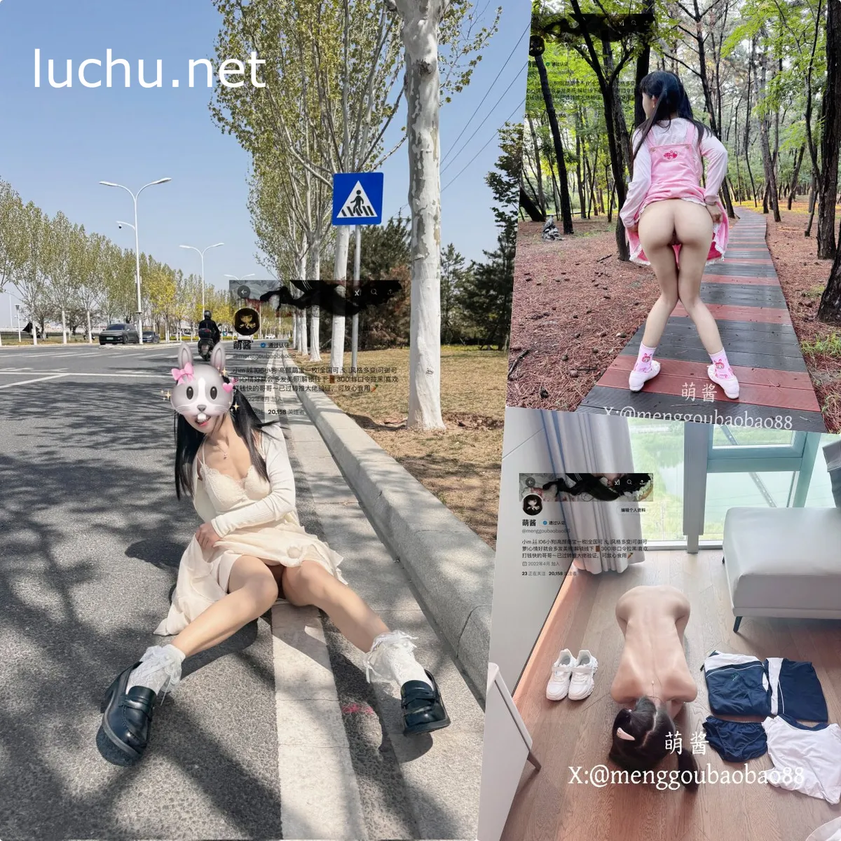 萌酱menggoubaobao88 金主的玩物 粉嫩少女户外露出放尿啪啪197P+126V (3.81GB)