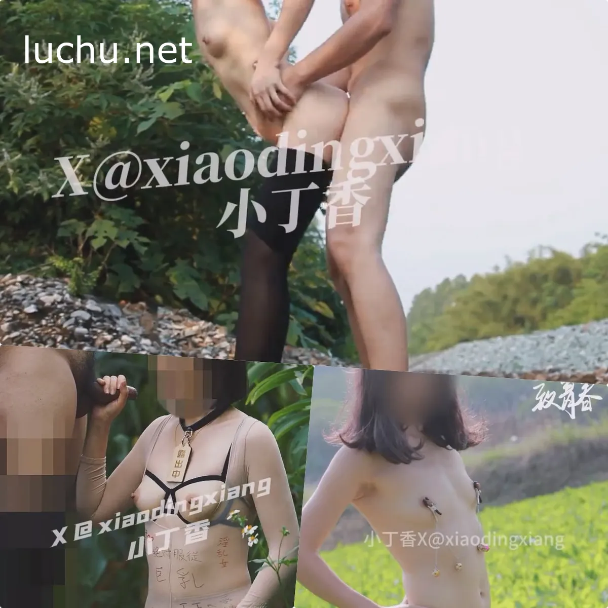 小丁香FQ@xiaodingxiang 推特户外露出视图存档[2341P+311V/2.05GB]
