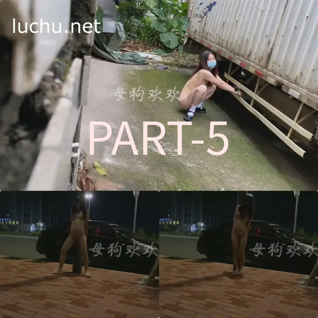 母狗欢欢(小欢宝@1314xiaohuan520) 户外露出勾引路人定制视频合集19V (4.94GB)