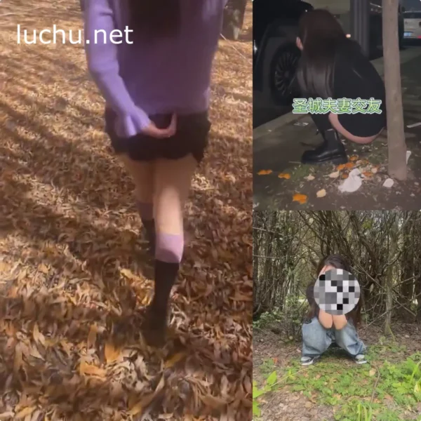 蓉城夫妻交友RongChengFuQ 推特图片视频存档(969MB)