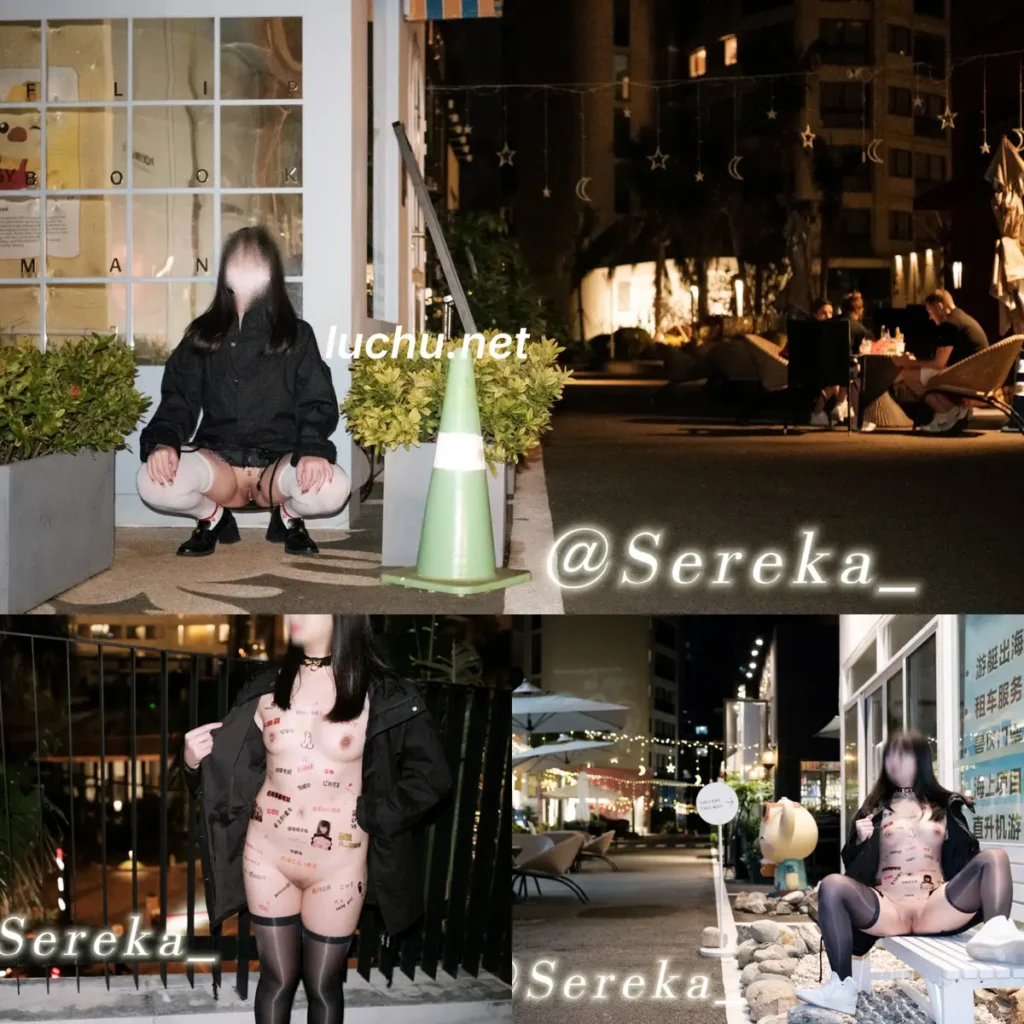 羽.@Sereka_ 推特户外露出图片视频存档 (1.28GB)