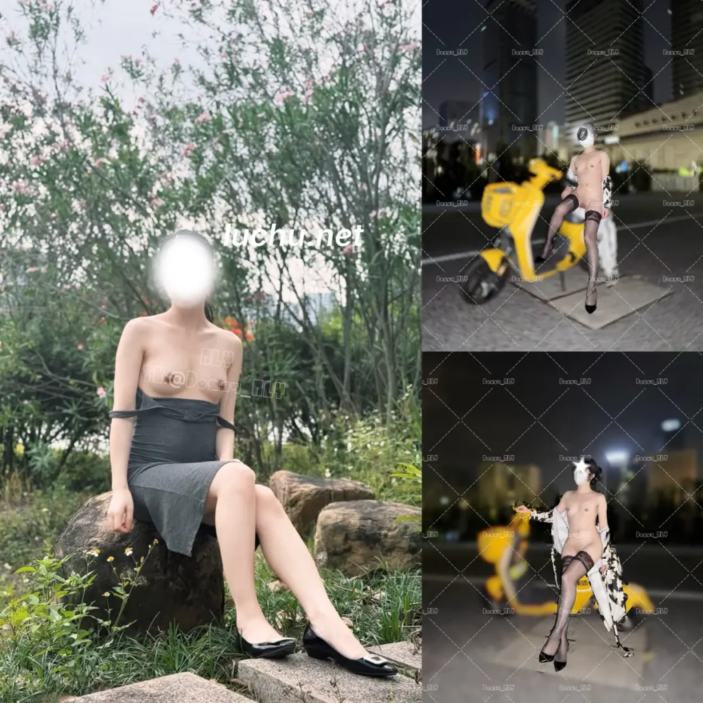ALY@Doggy_ALY 推特户外露出图片视频存档 (365MB)