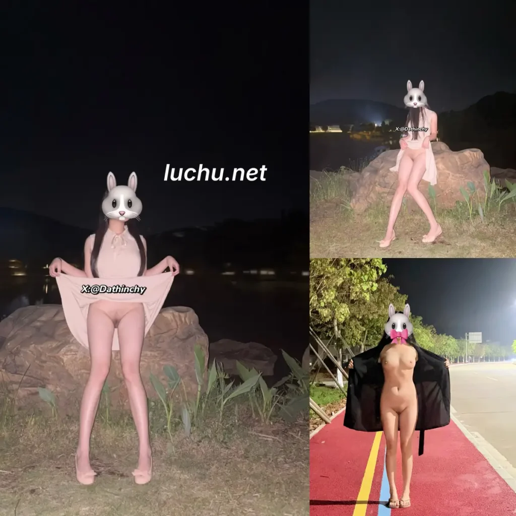 Dathinchy@Dathinchy 推特户外露出图片视频存档 (58MB)