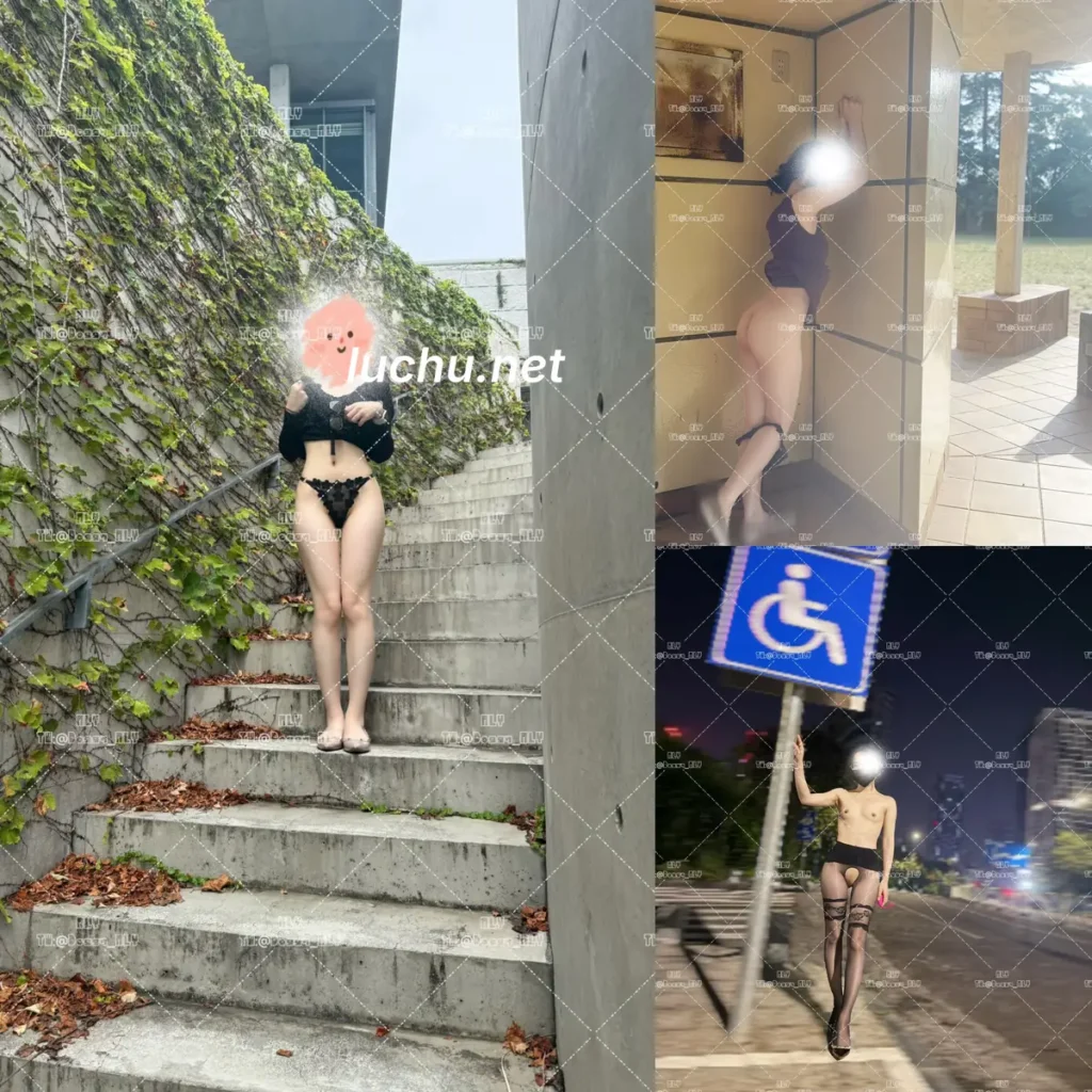 ALY@Doggy_ALY 推特户外露出图片视频存档 (365MB)