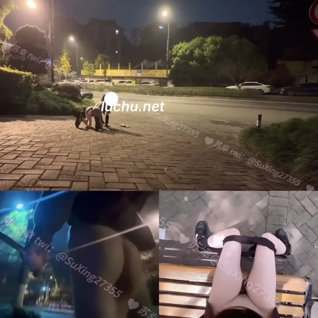 你的苏幸@SuXing27355 推特户外露出图片视频存档 (106MB)