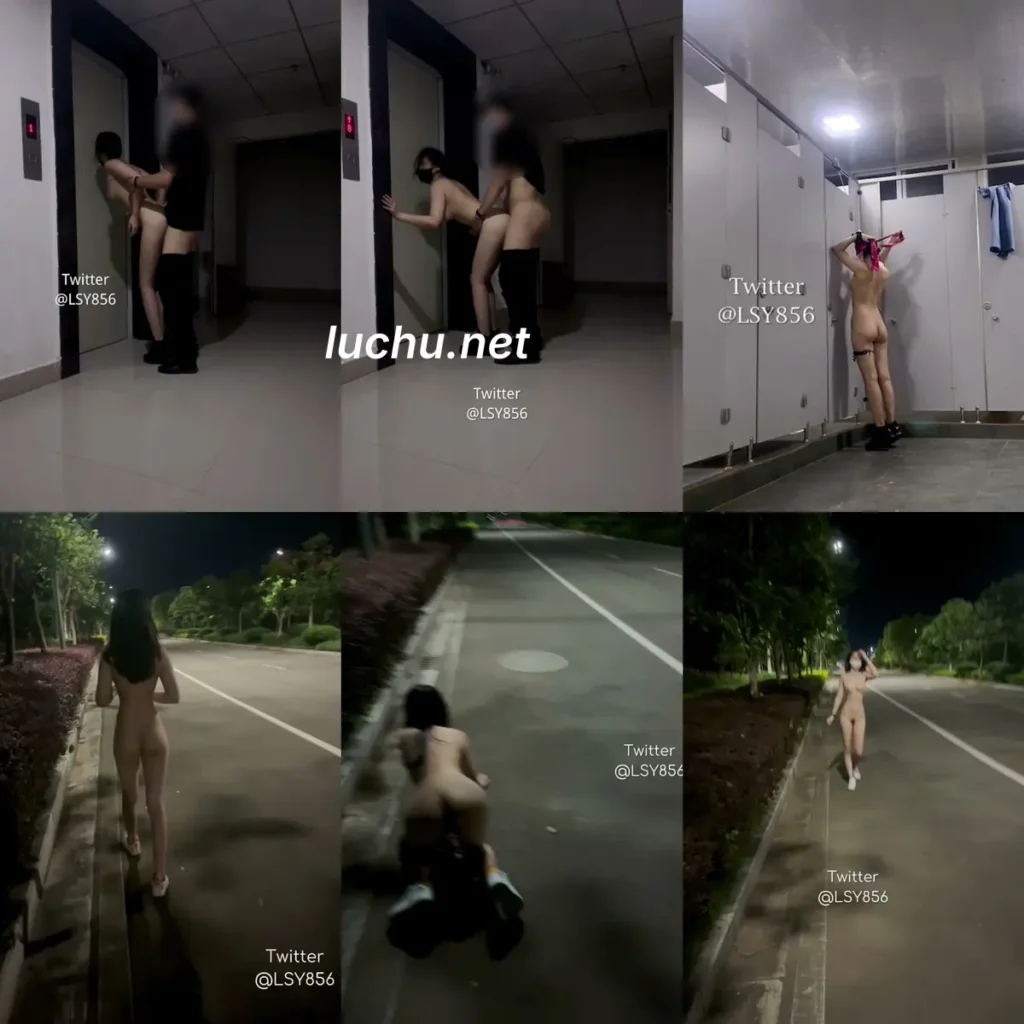 林淑怡@LSY856 夜晚露出任务 公路男厕超市 各种地方露出啪啪小视频 (491MB)