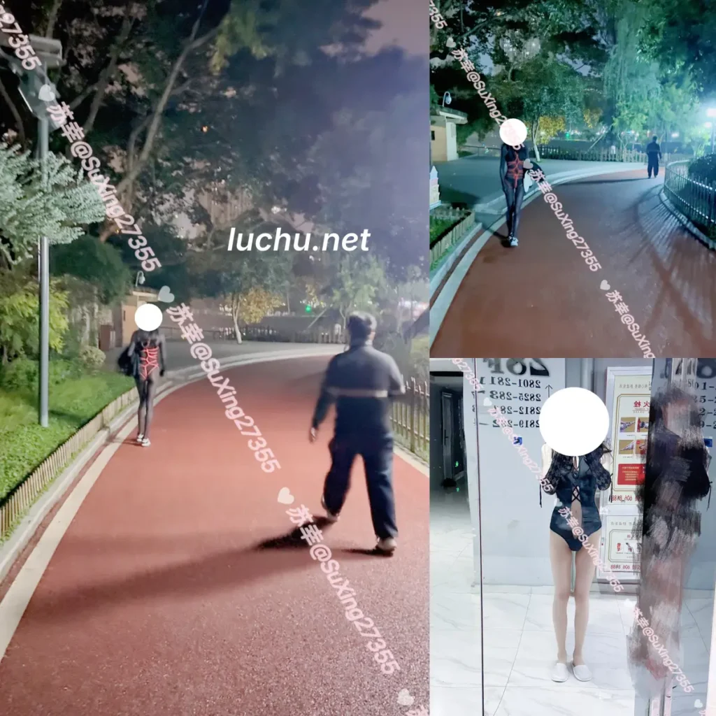 你的苏幸@SuXing27355 推特户外露出图片视频存档 (106MB)