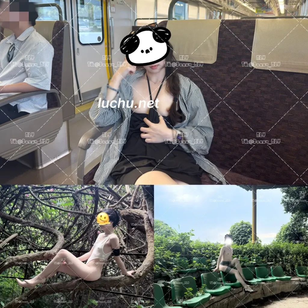 ALY@Doggy_ALY 推特户外露出图片视频存档 (365MB)